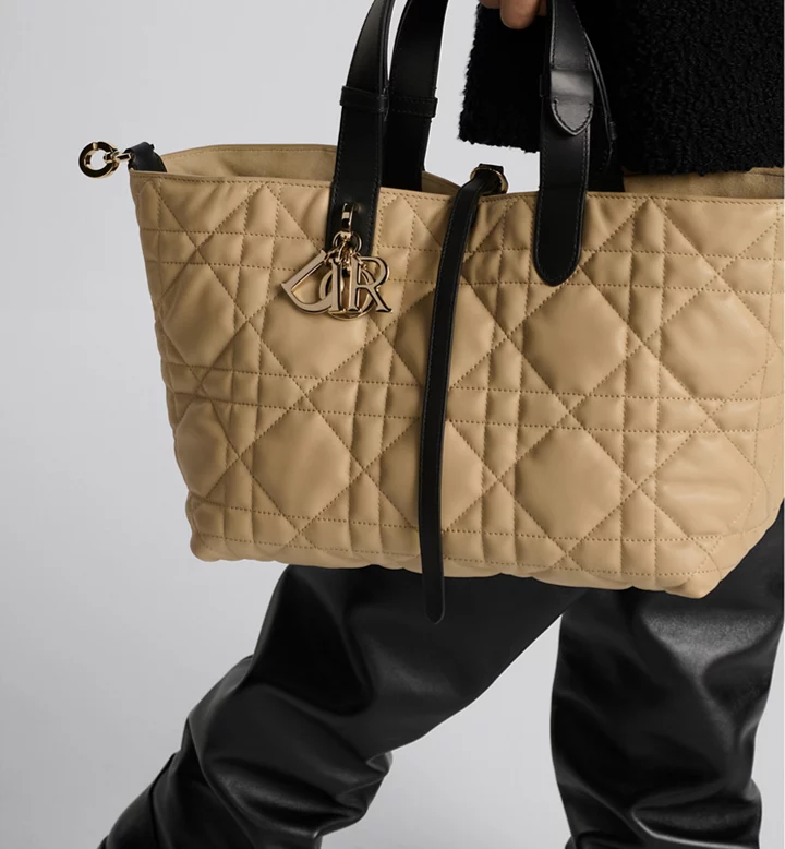 medium dior toujours bag medium dior toujours bag